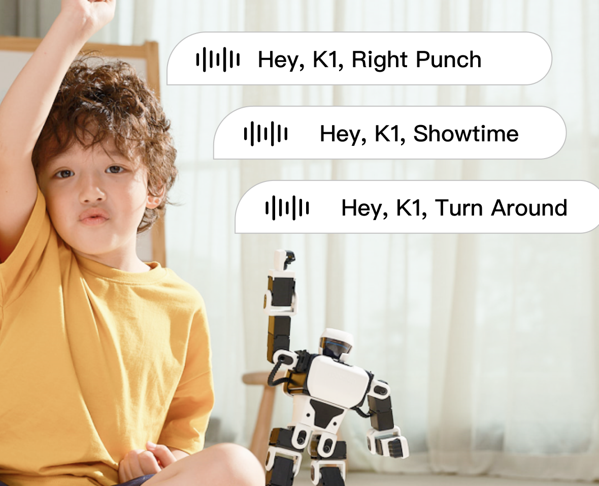 UK Robosen Store